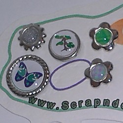 Brads Frog Scrap'n'Design Brads-Buttons 4,50 €