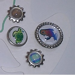 Brads Frog Scrap'n'Design Brads-Buttons 4,50 €