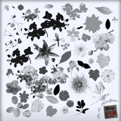 Kit Pinceaux Floral 01 Brushes Psd Scrap'n'Design 6,99 €