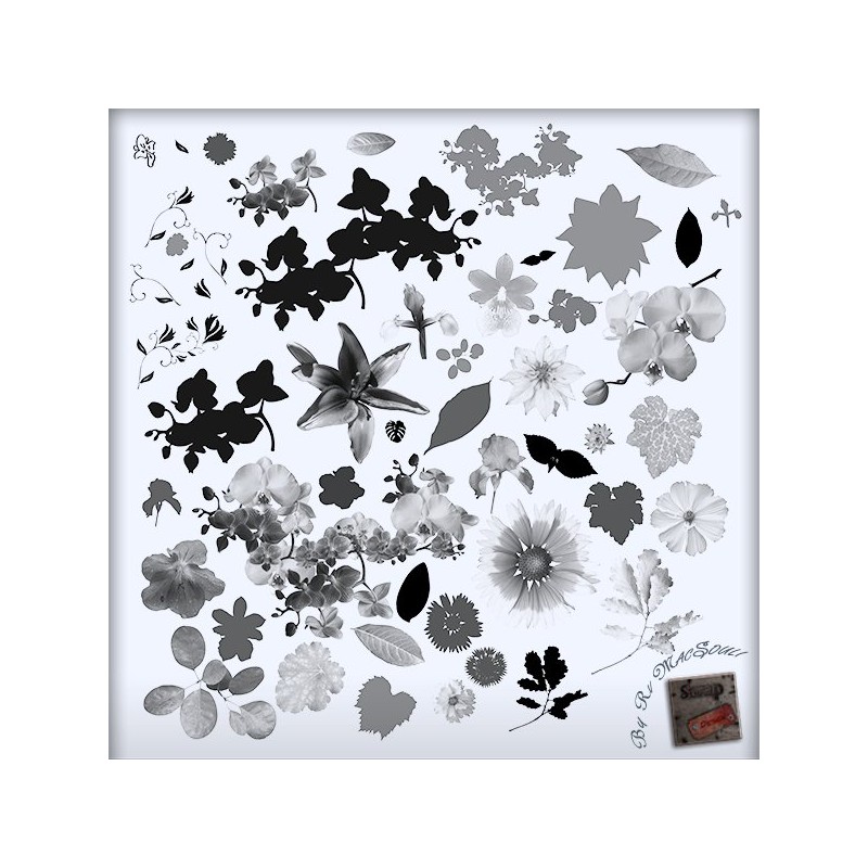 Kit Pinceaux Floral 01 Brushes Psd Scrap'n'Design 6,99 €