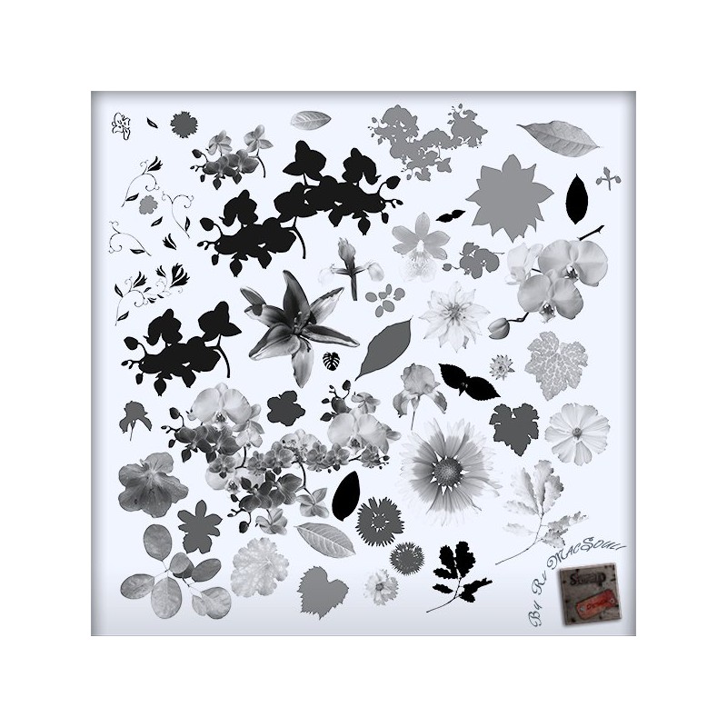 Brush Pack Floral 01