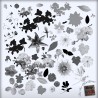 Brush Pack Floral 01