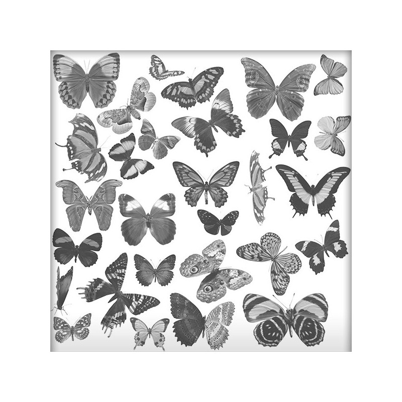Kit Pinceaux Papillons 01 Brushes Psd Scrap'n'Design 3,99 €